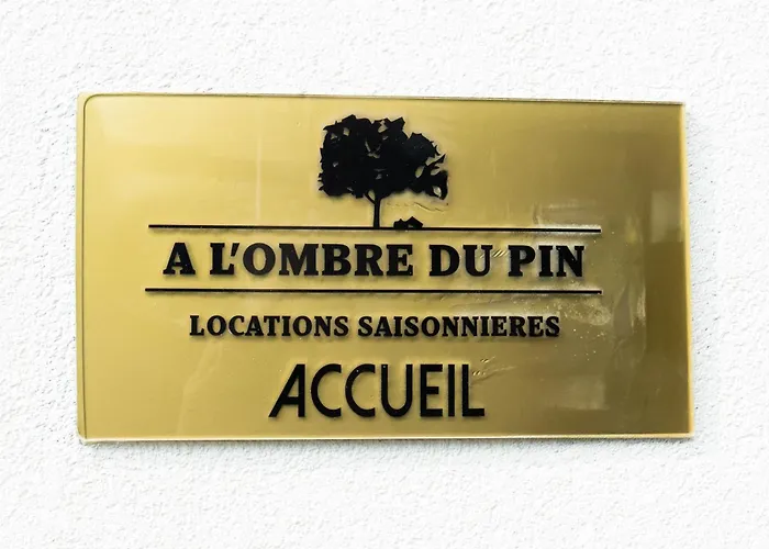 A L\'Ombre Du Pin \